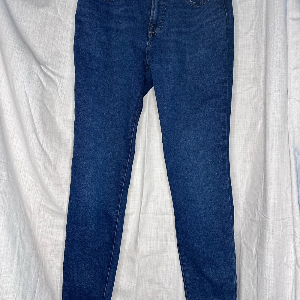 Everlane Blue Skinny Jeans Classic Fit
